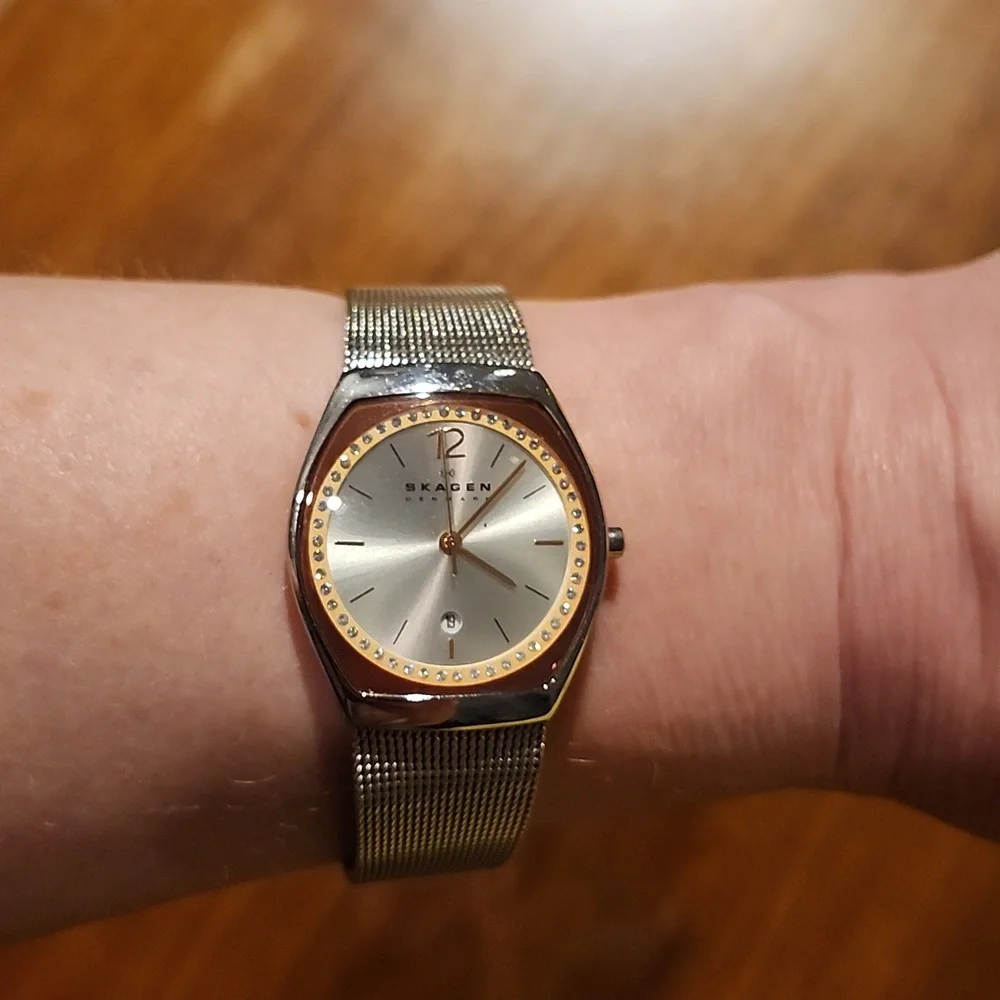 Skagen Asta Stainless Steel Mesh Watch w/Rose Face Date